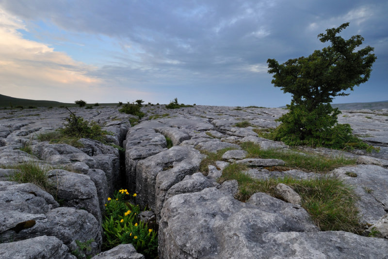 At The foot of Ingleborough  11_DSC_2573