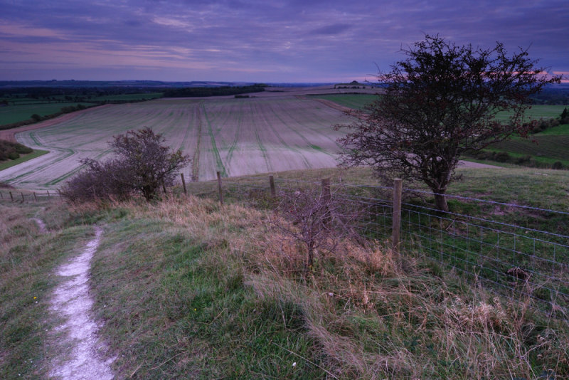 From Pewsey Down  11b_DSC_0662