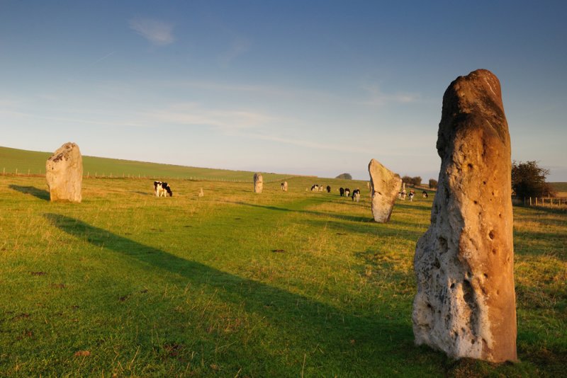 Stone Avenue, Avebury  11b_DSC_0770