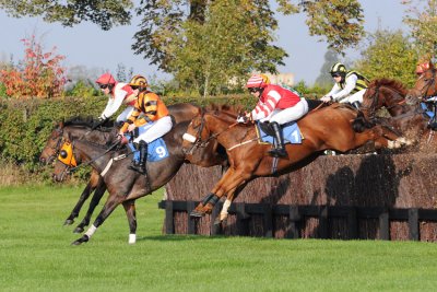 Wetherby Oct 2010  10_DSC_7758