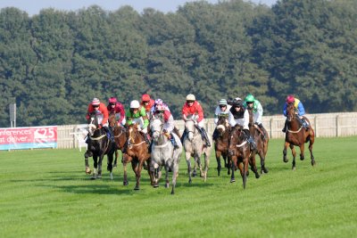 Wetherby Oct 2010  10_DSC_7786