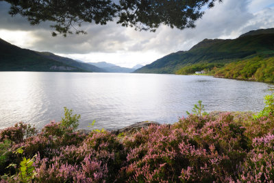 Loch Lomond  11_DSC_5330