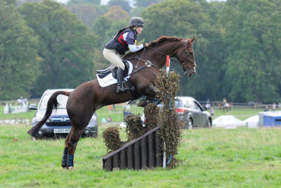 Caitlin Pitcher on Gold Prince 11_DSC_7726