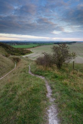From Pewsey Down  11b_DSC_0569