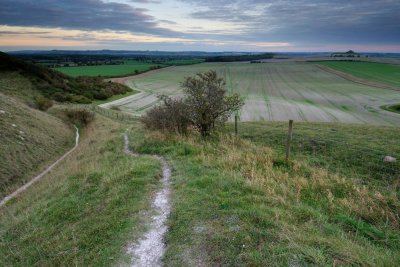 From Pewsey Down  11b_DSC_0607