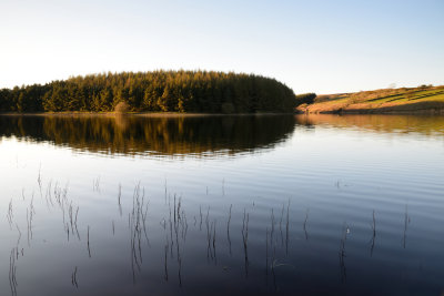 Thruscross Reservoir  12_d800_0082