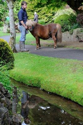 Japanese Gardens, Irish National Stud  12_d90_DSC_0116