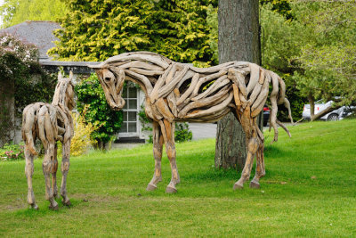 Irish National Stud  12_d90_DSC_0328