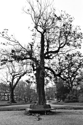 Inside Giardini Indro Montanelli