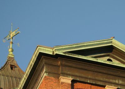 Peregrines: one Viking boat upper aft spar; other SW roof top