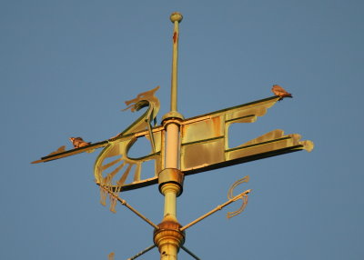 Peregrines on Viking boat upper spar: fore & aft