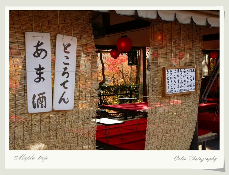DSC00654.jpg