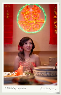 39-DSC09520-v.jpg