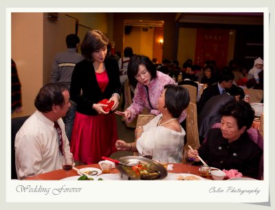 40-DSC09526-v.jpg