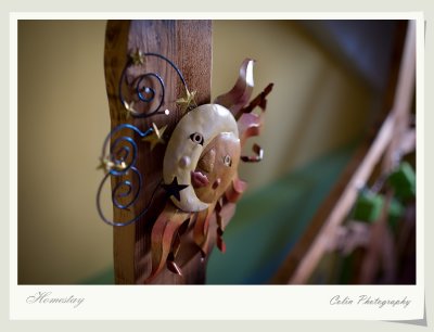 DSC06106v.jpg
