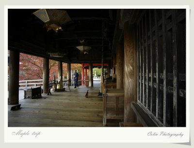 DSC00438v.jpg