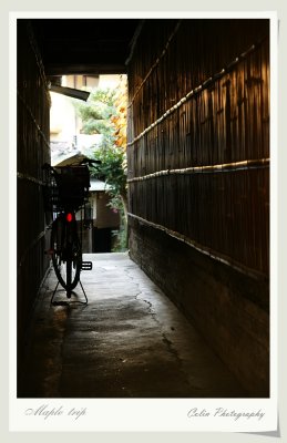 DSC00694.jpg