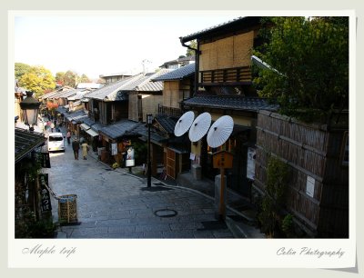 DSC00697.jpg