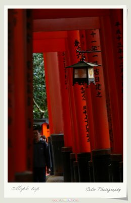 DSC01006.jpg