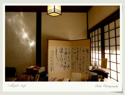 DSC01141v.jpg
