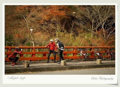 DSC02596cv.jpg