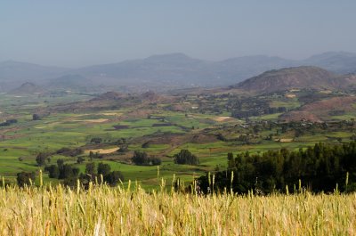  Between Gondar and Ambober