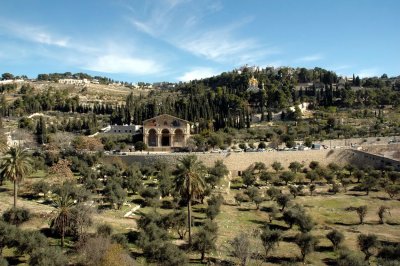 Mt of Olives