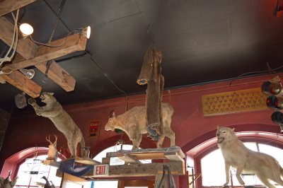 Ceiling of the Handlebar restaurant