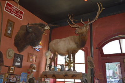 Detail of some of the stuffed animials in the Handlebar restaurant