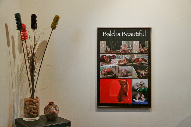 Bald is Beautiful