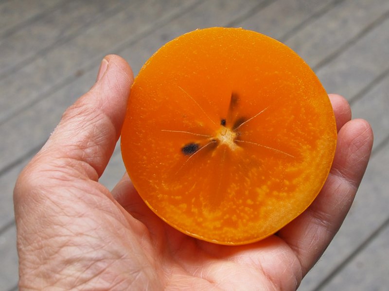 P9214480 First Ripe Persimmon This Year