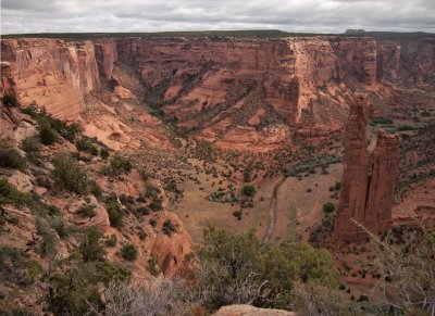 P5113599 Verdant Spring at Canyon de Chelly