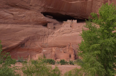 P5113660 Ancient Dwellings at Canyon del Muerto