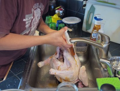 PC255428 Injecting the Turkey