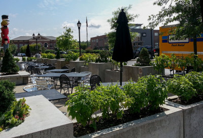 Landscaped with Basil and Jalapeno Pepper Plants