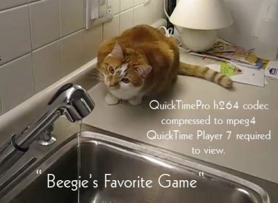 Beegie's Favorite Game