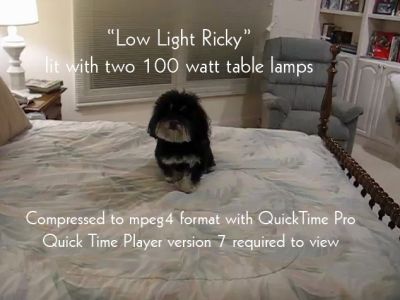 Low Light Ricky