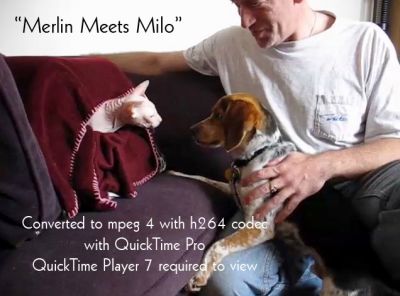 Merlin Meets Milo