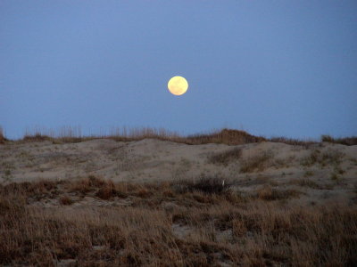 Moonrise over the dunes