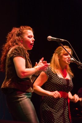 IMG_8774.jpg