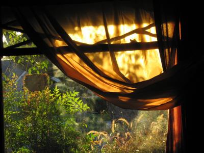Afternoon sun