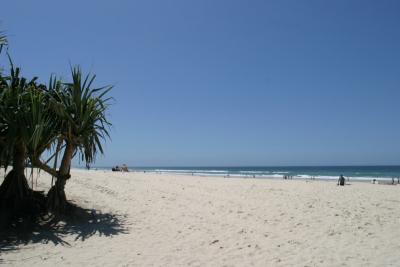 Surfers Paradise23.jpg