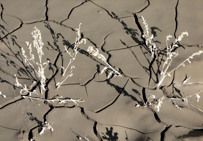 Mud Study #1