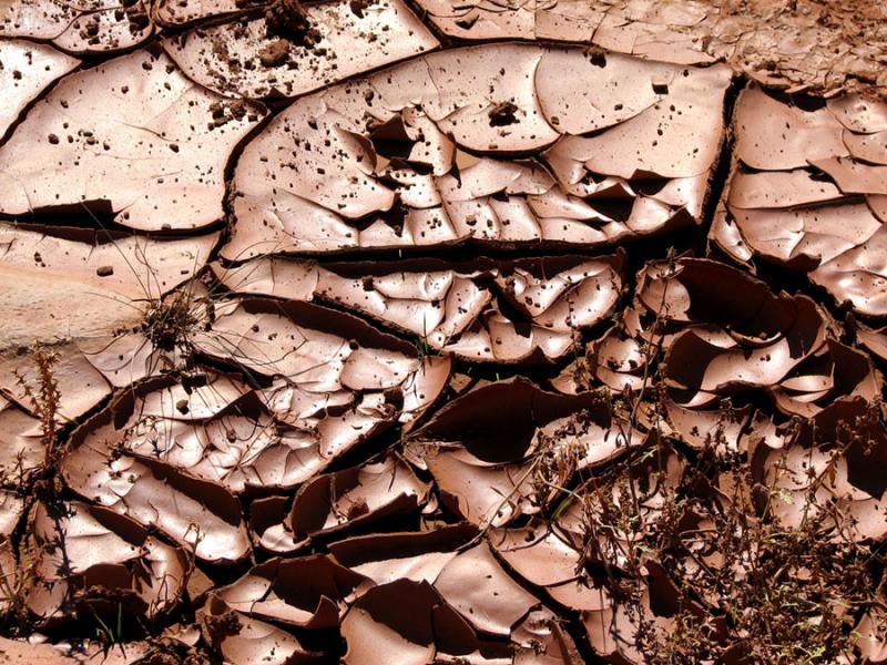Mud Study #3