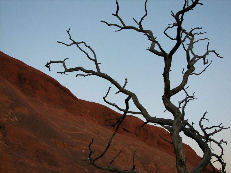 Arterial