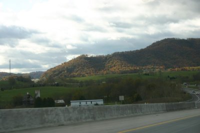 IMG_1156.jpg