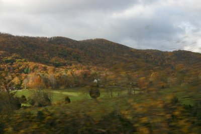 IMG_1158.jpg