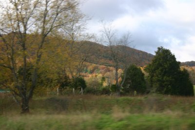 IMG_1159.jpg