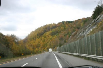 IMG_1173.jpg
