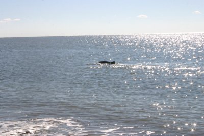 IMG_1213.jpg